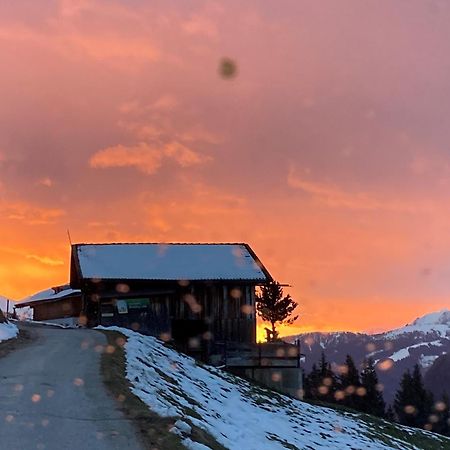 Ferienhaus Waidmannsruh Hippach Dış mekan fotoğraf